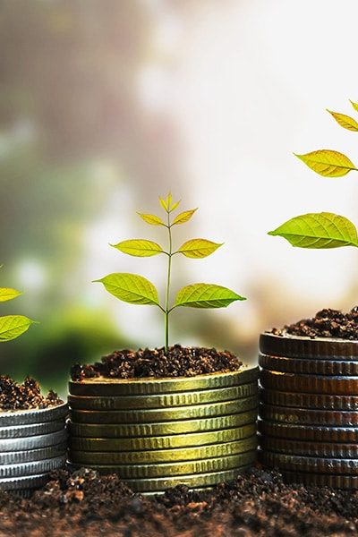 rapport_qualite_prix_locaux_pro rapport_qualite_prix_locaux_pro